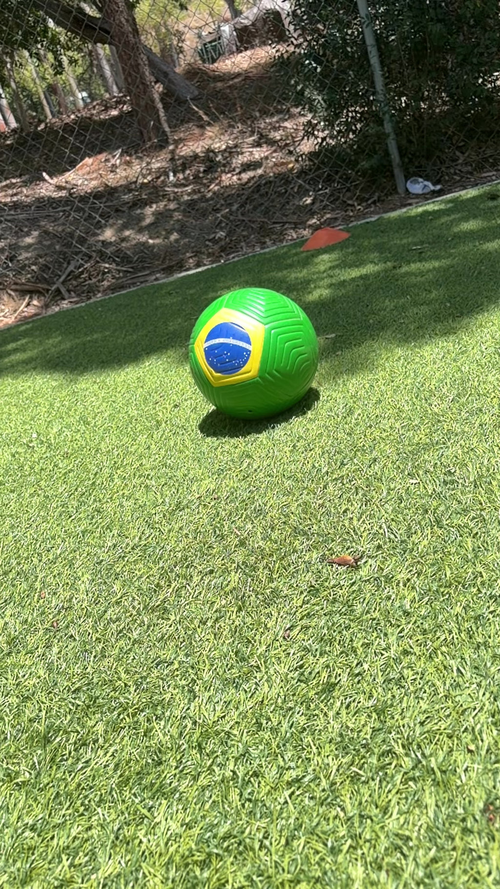 Brazil Soccer Ball