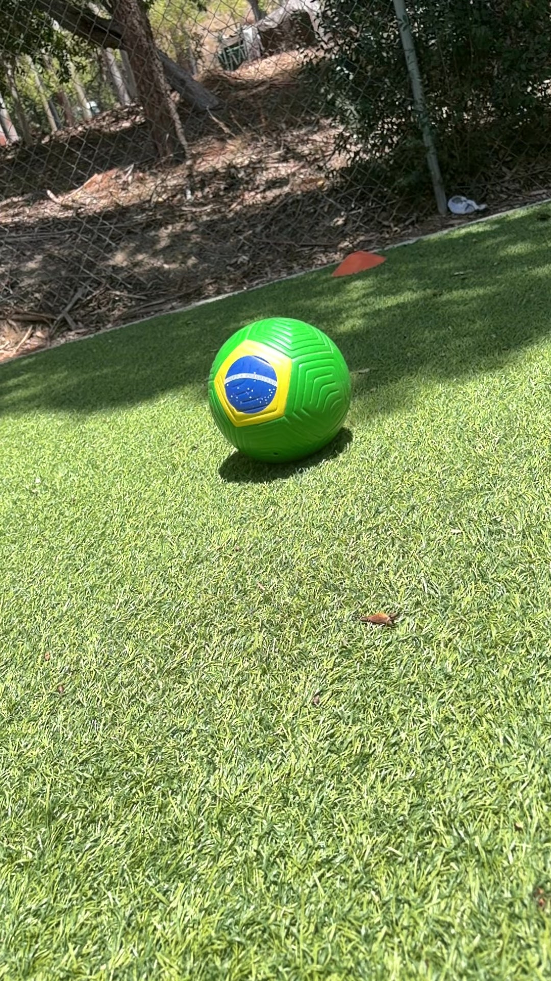 Brazil Soccer Ball